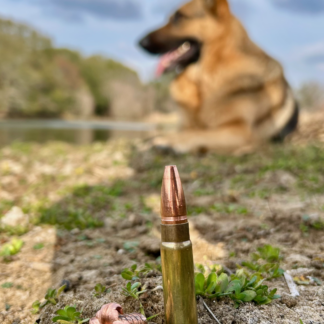 375 Raptor 235gn Barnes TSX