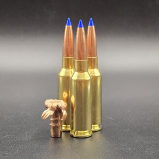 6mm ARC Barnes 95 gn LRX FPS 2850